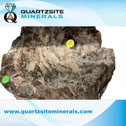 Petrified wood