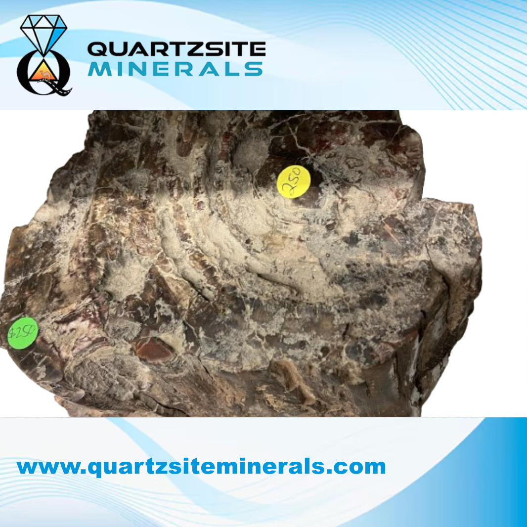 Petrified wood