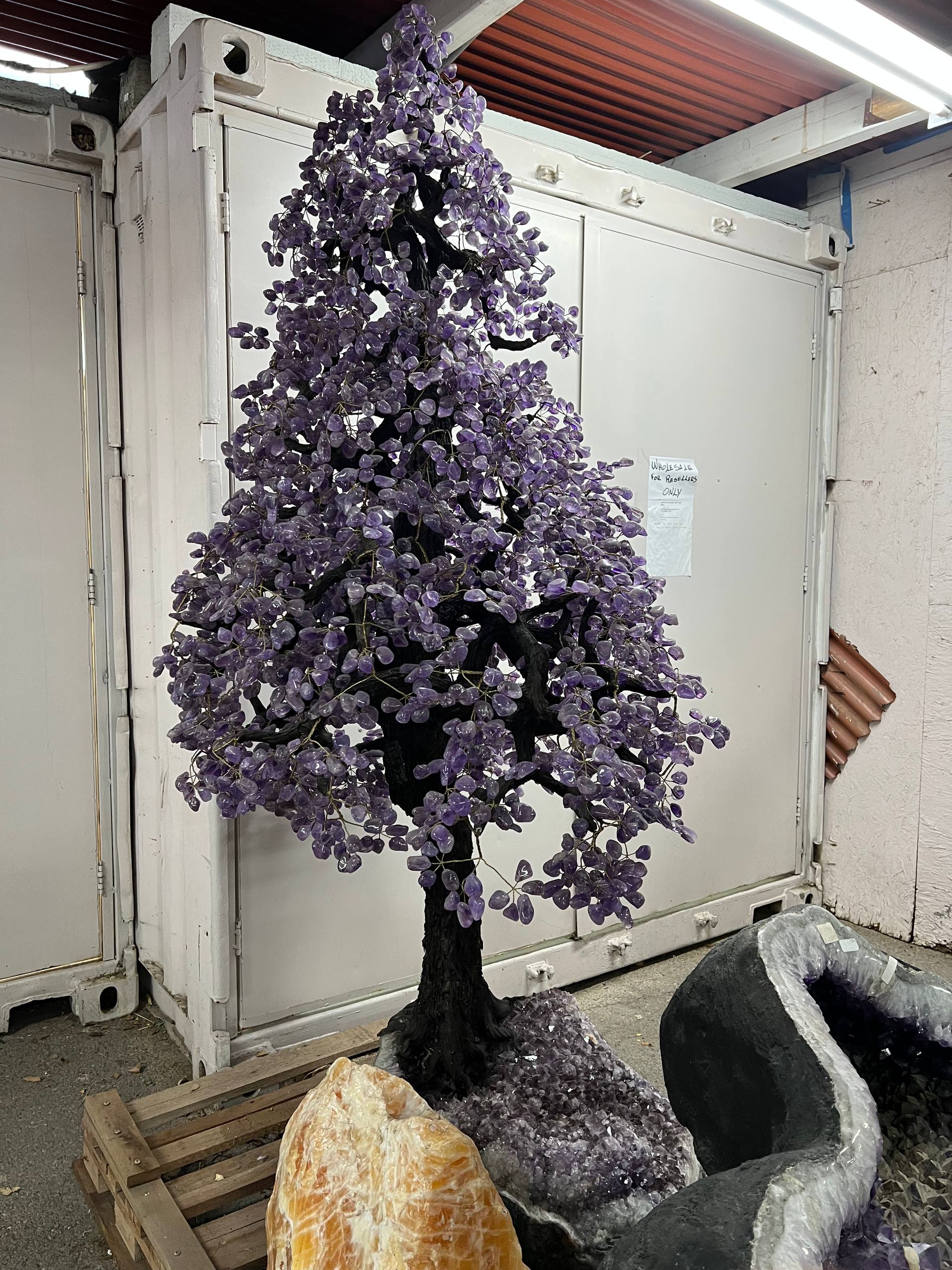 Largest amethyst tree stands on larger amethyst bases, Large money trees – view 3