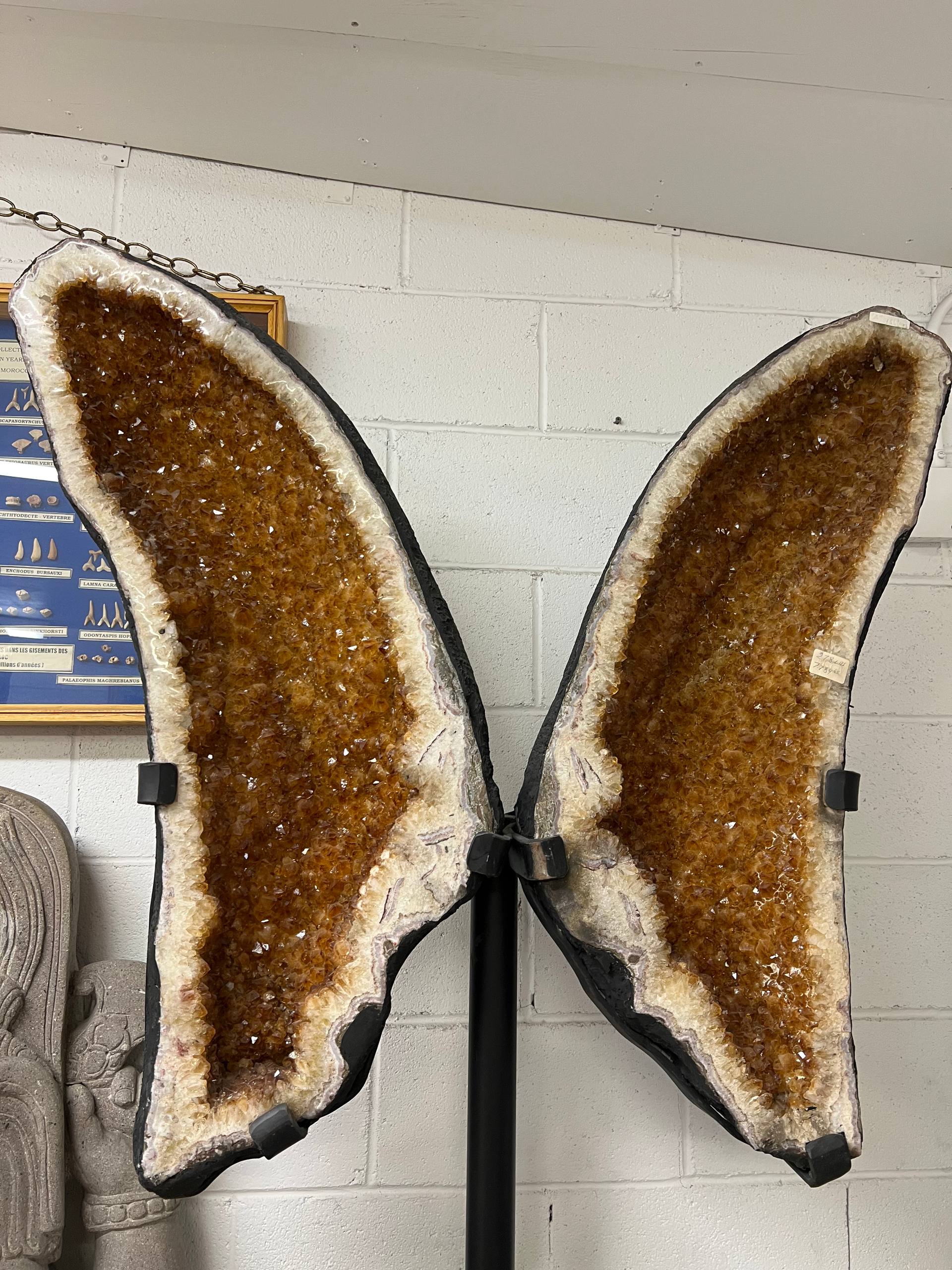 Citrine – view 10