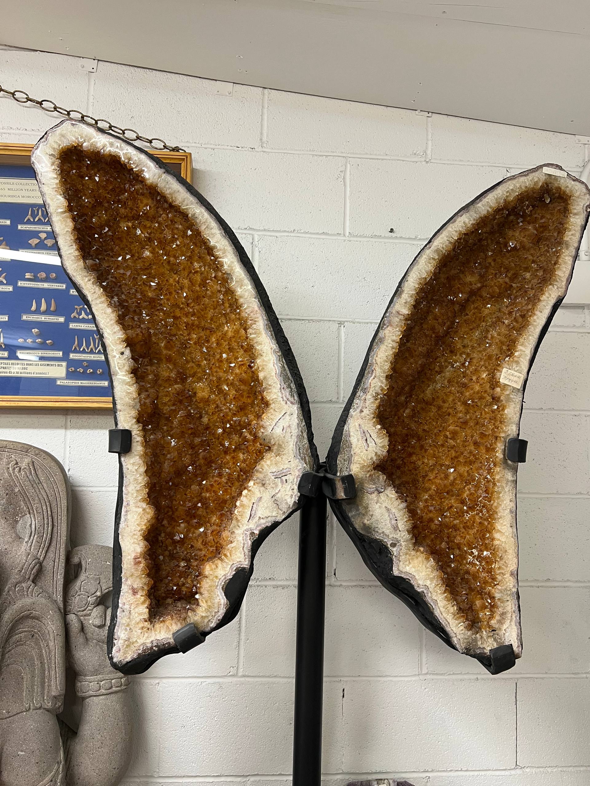 Citrine – view 11