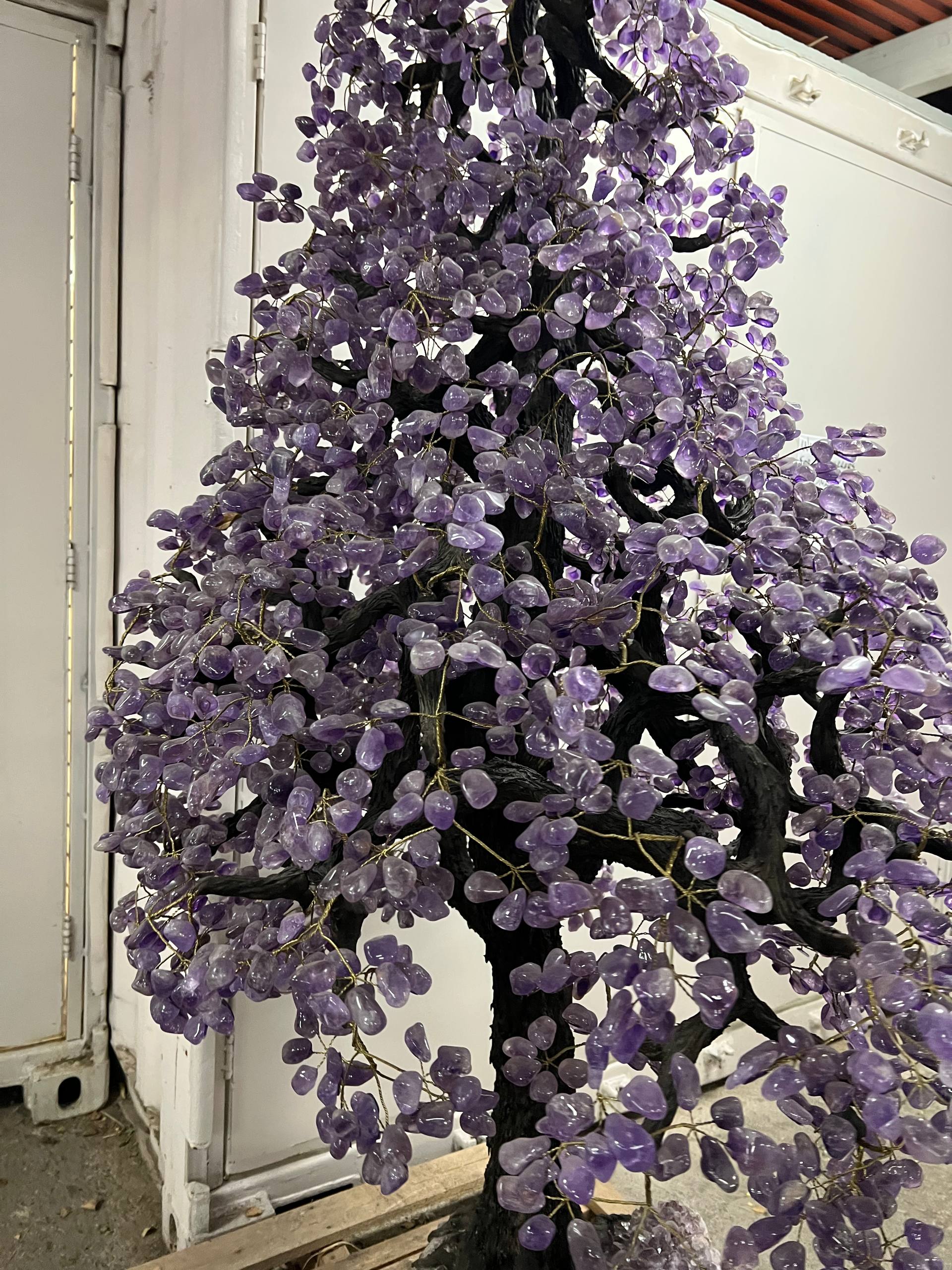 Largest amethyst tree stands on larger amethyst bases, Large money trees – view 8