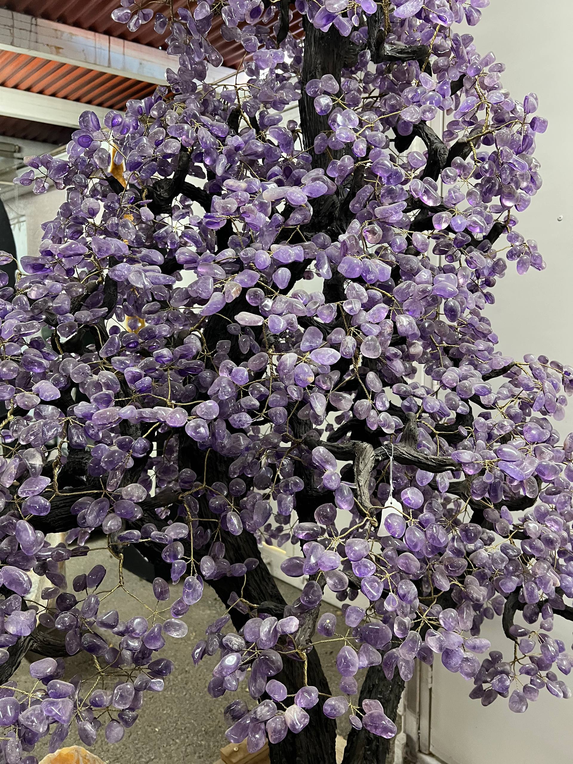 Largest amethyst tree stands on larger amethyst bases, Large money trees – view 15
