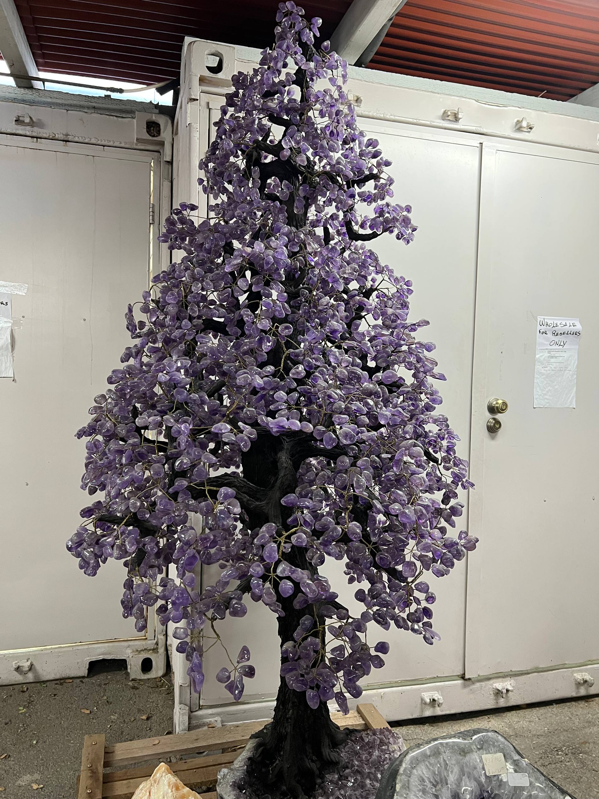 Largest amethyst tree stands on larger amethyst bases, Large money trees – view 2