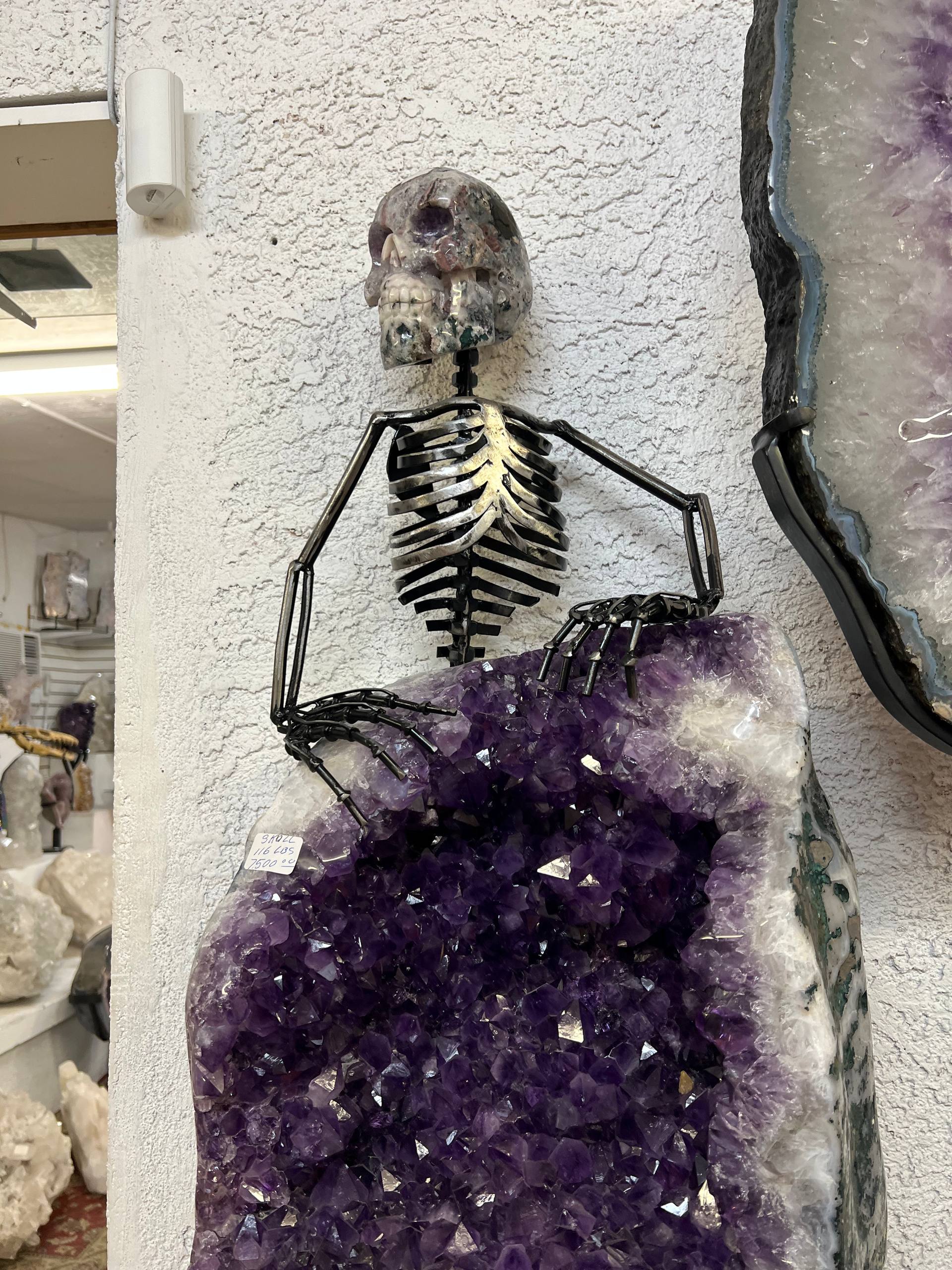Skull 💀 – view 18