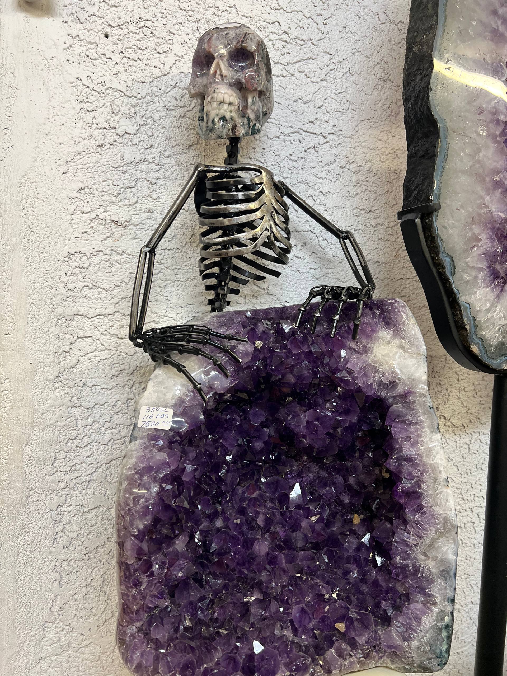 Skull 💀 – view 6