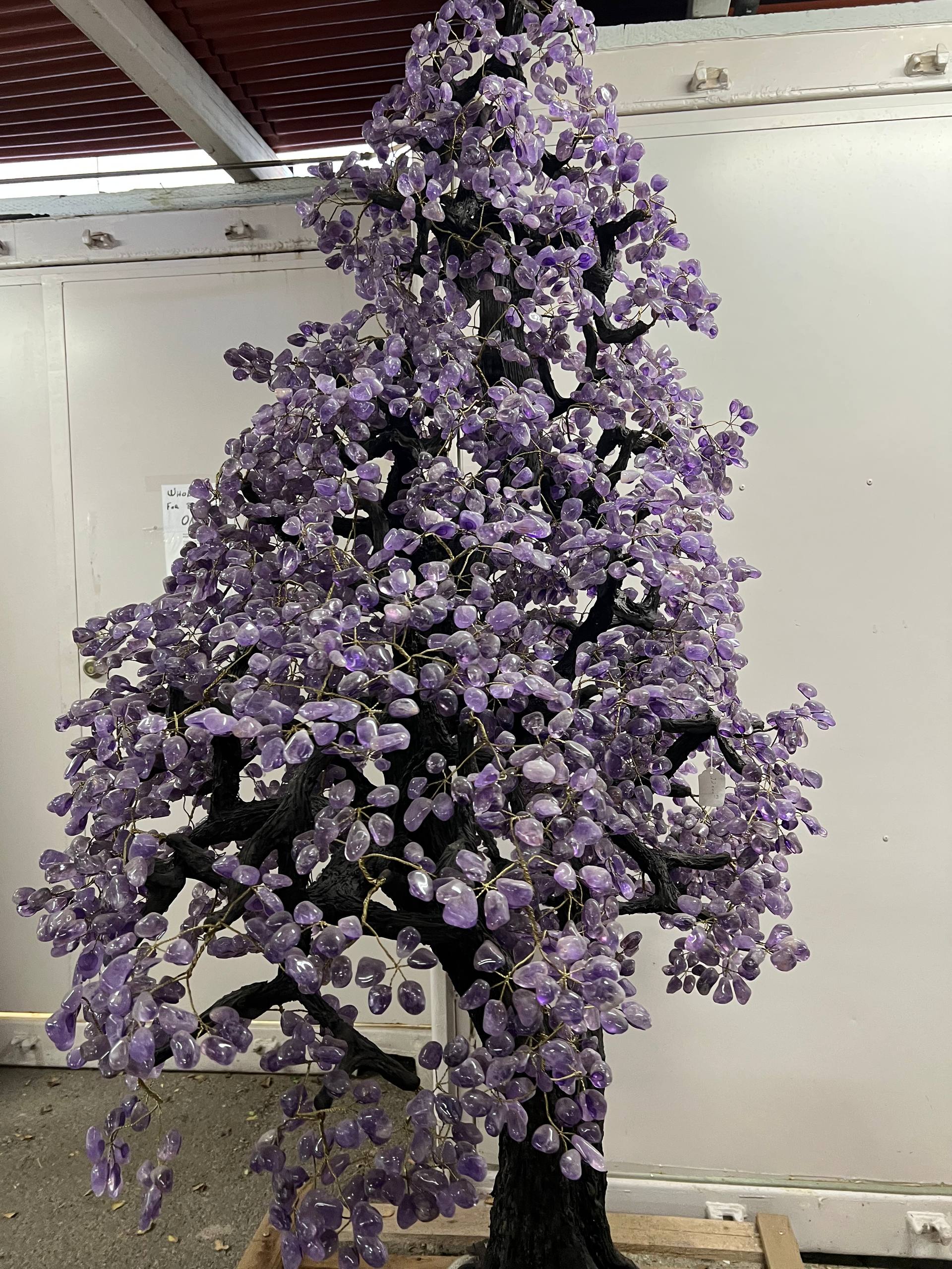 Largest amethyst tree stands on larger amethyst bases, Large money trees – view 10