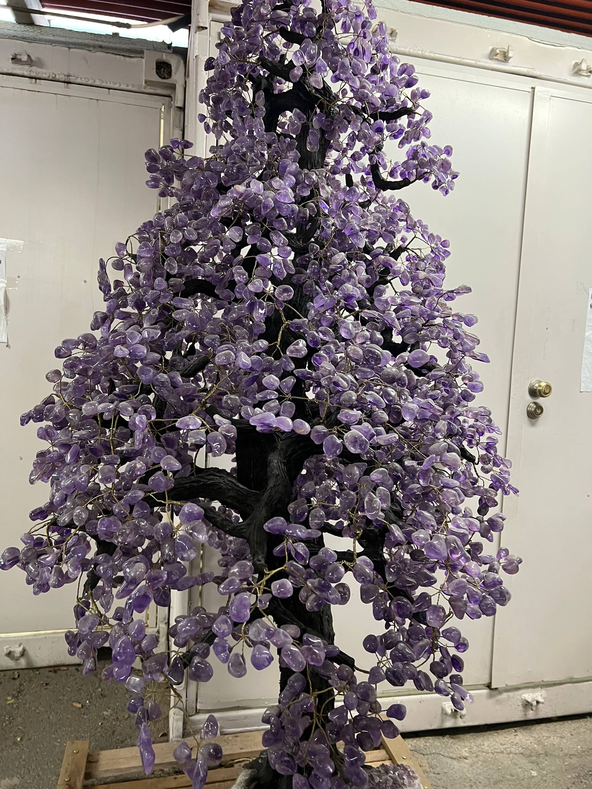 Largest amethyst tree stands on larger amethyst bases, Large money trees – view 9