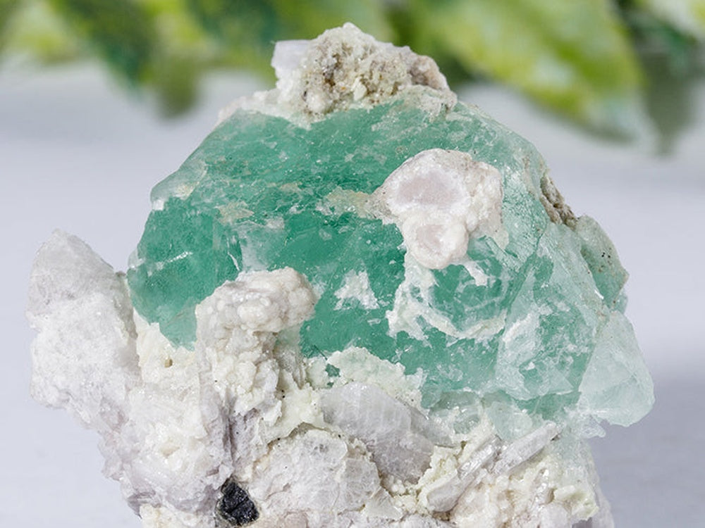 Albite Specimen