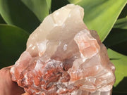 Aragonite Star Clusters