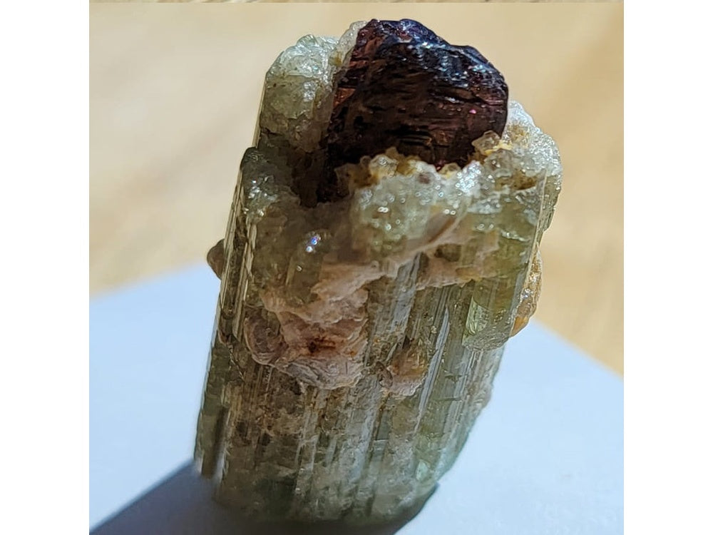 Bicolor Verdelite Crystals Tourmaline