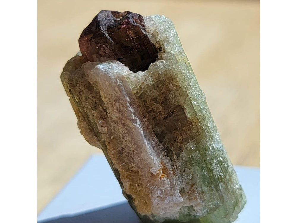 Bicolor Verdelite Crystals Tourmaline