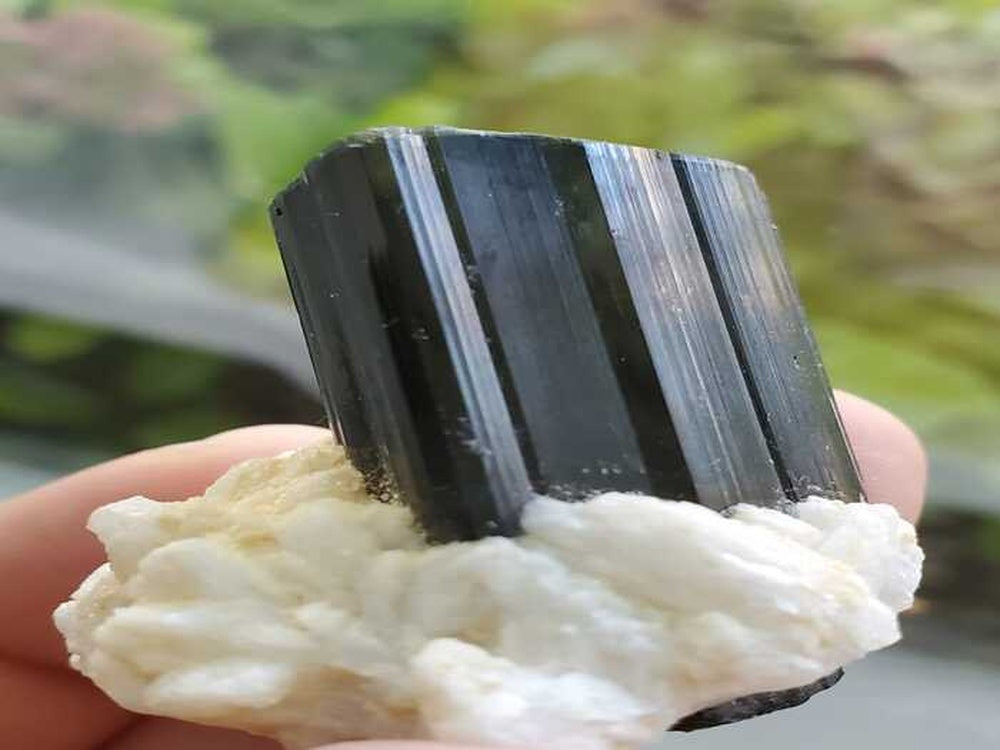 Black Tourmaline Crystal for Sale