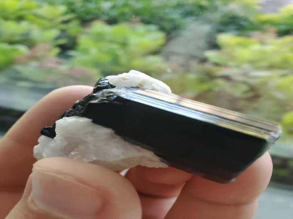 Black Tourmaline Crystal for Sale
