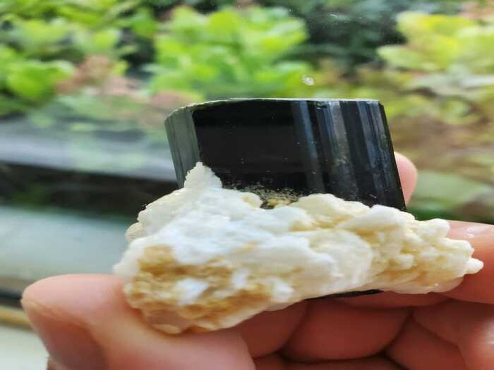 Black Tourmaline Crystal for Sale
