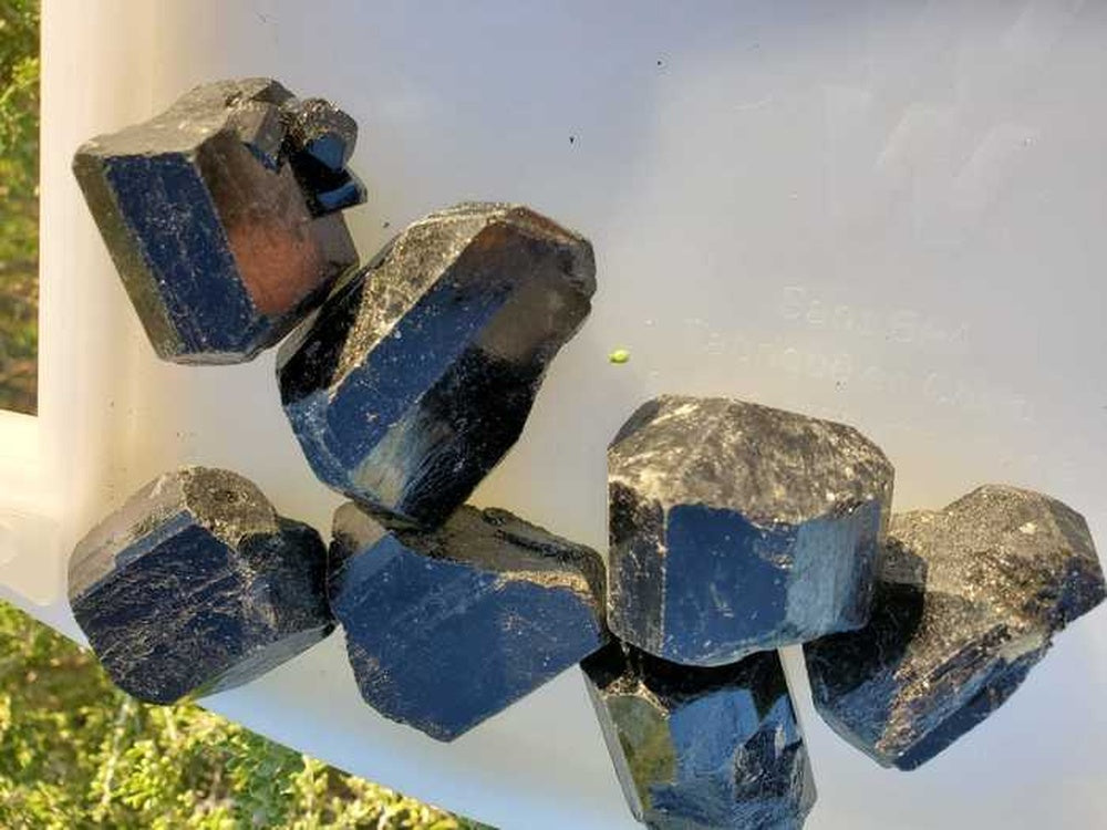 Black Tourmaline Crystals Large Size