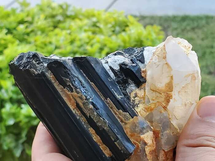 Black Tourmaline Crystal with Quartz Crystal