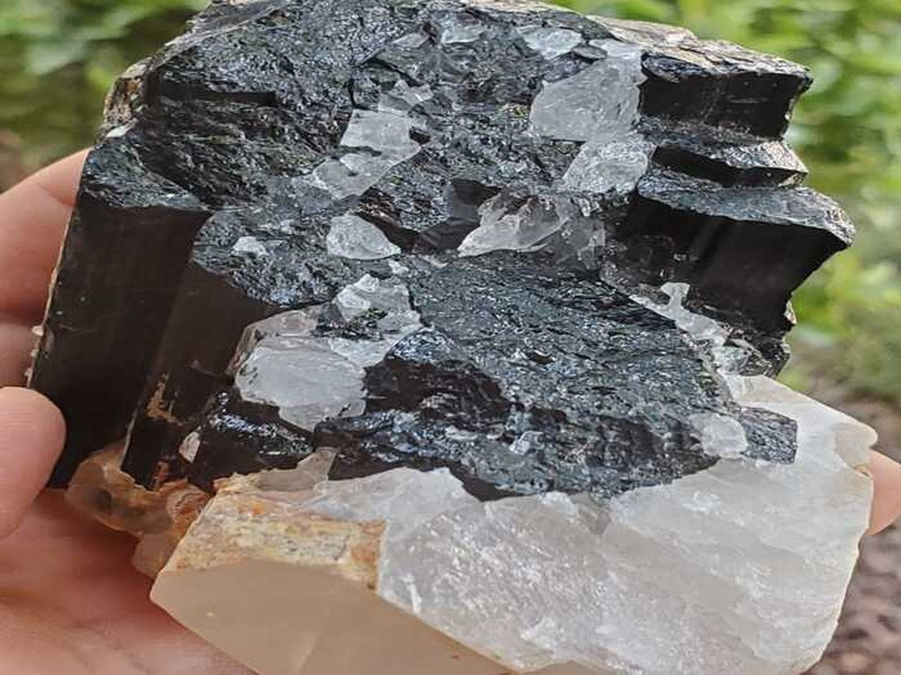 Black Tourmaline Crystal with Quartz Crystal