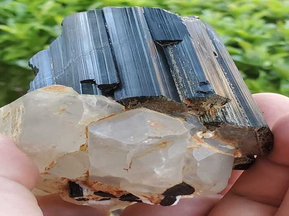 Black Tourmaline Crystal with Quartz Crystal