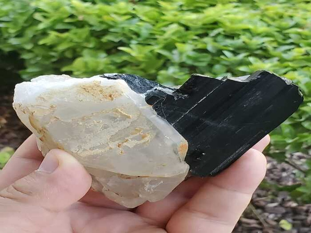 Black Tourmaline Crystal with Quartz Crystal