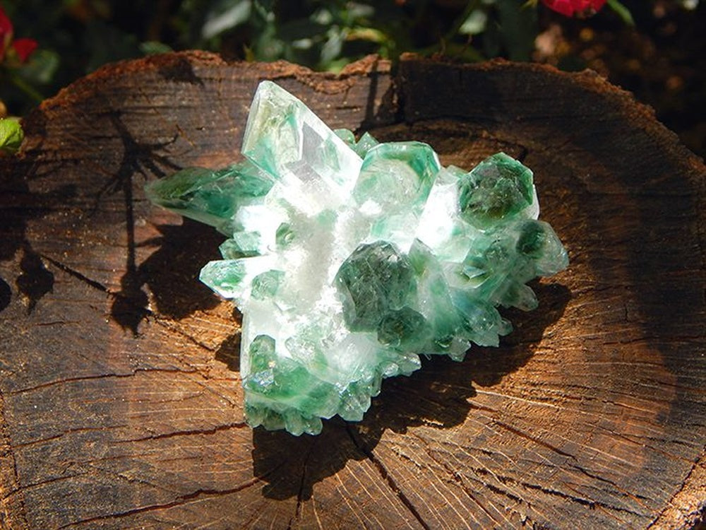 Chlorite Phantom Crystals