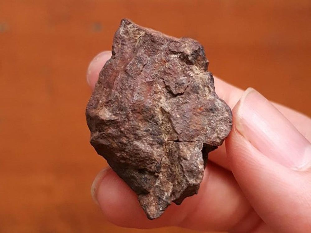 Chondrite Meteorite