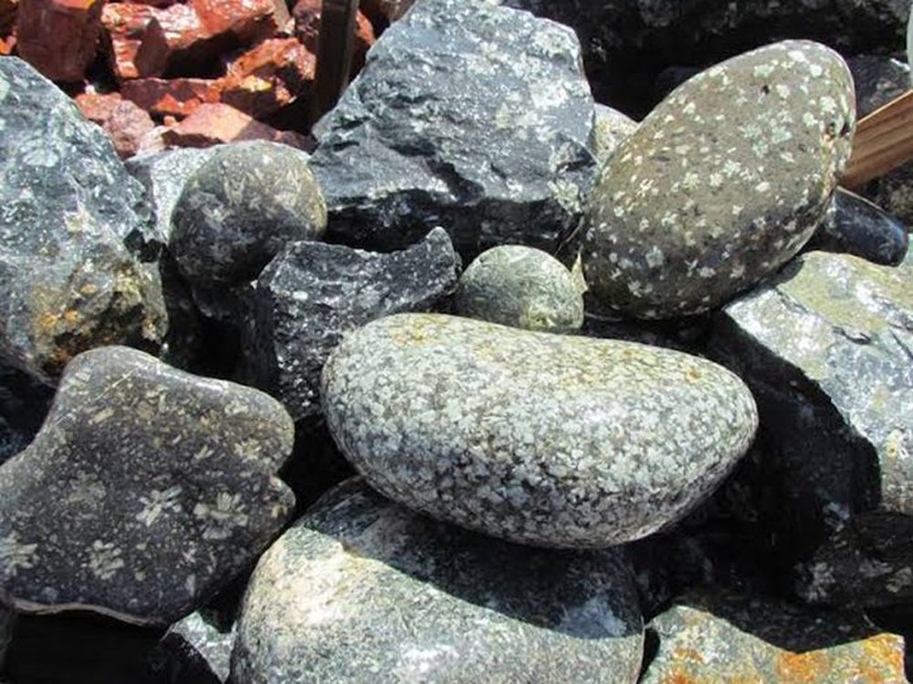 Chrysanthemum Stone