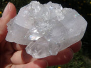 Clear Apophyllite