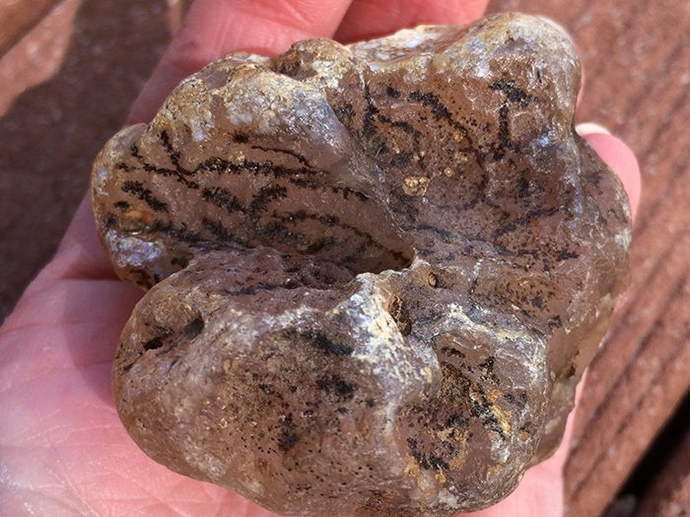 Dendritic Agate