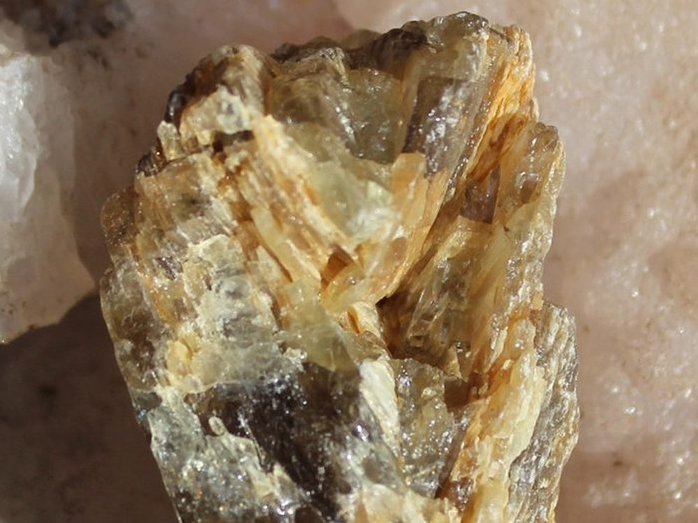 Diaspore Specimen