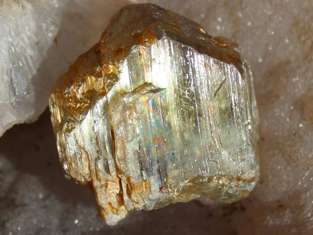 Diaspore Specimen