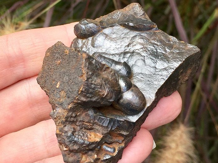Goethite Specimen
