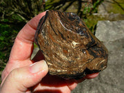 Gold Sheen Obsidian