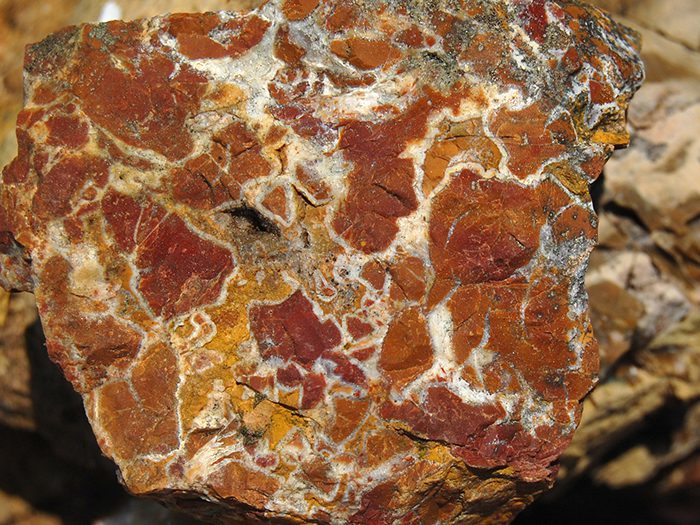 Jasper