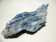 Kyanite Specimen