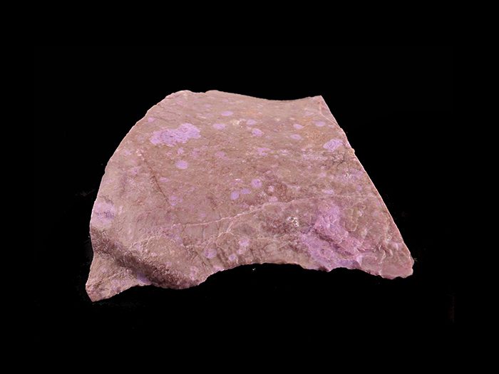 Lavender Jade