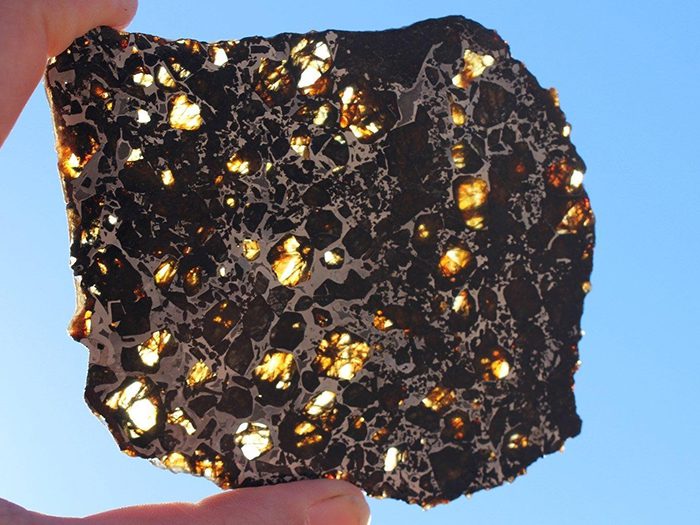 Pallasite Meteorite