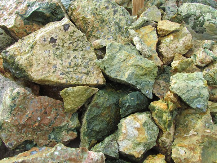 Rainforest Jasper