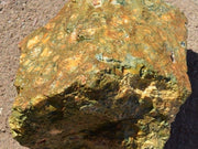 Rainforest Jasper