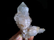 Scepter Quartz