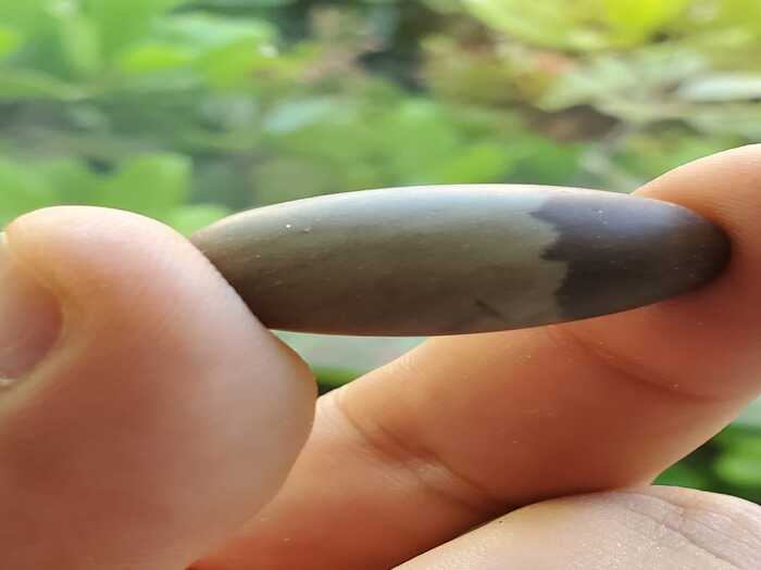 Shiva Lingam Crystal
