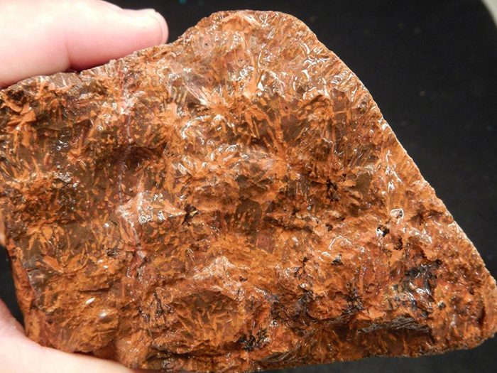 Spider Jasper
