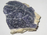 Strombolite