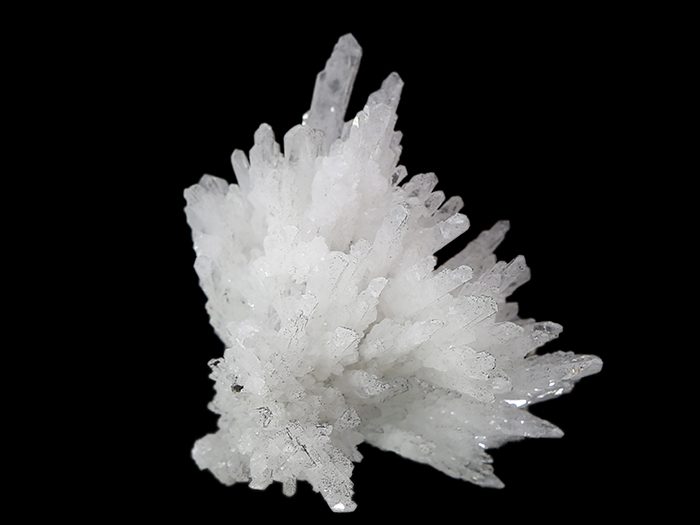 White Celestials