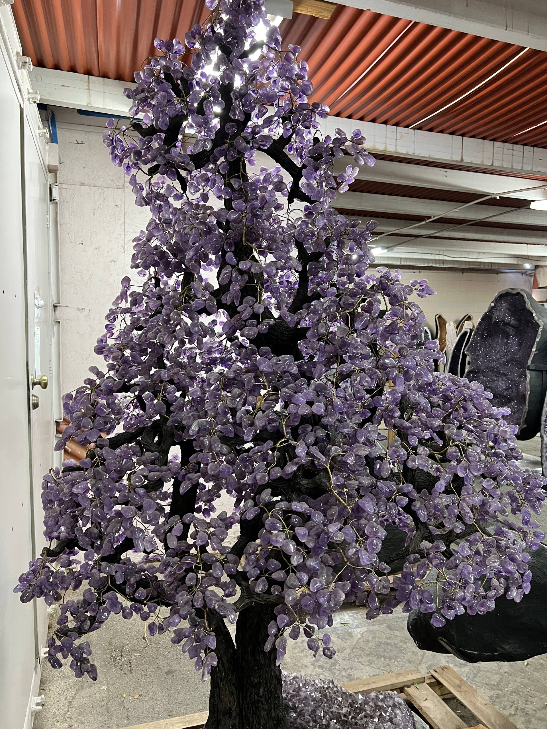 Largest amethyst tree stands on larger amethyst bases, Large money trees – view 5
