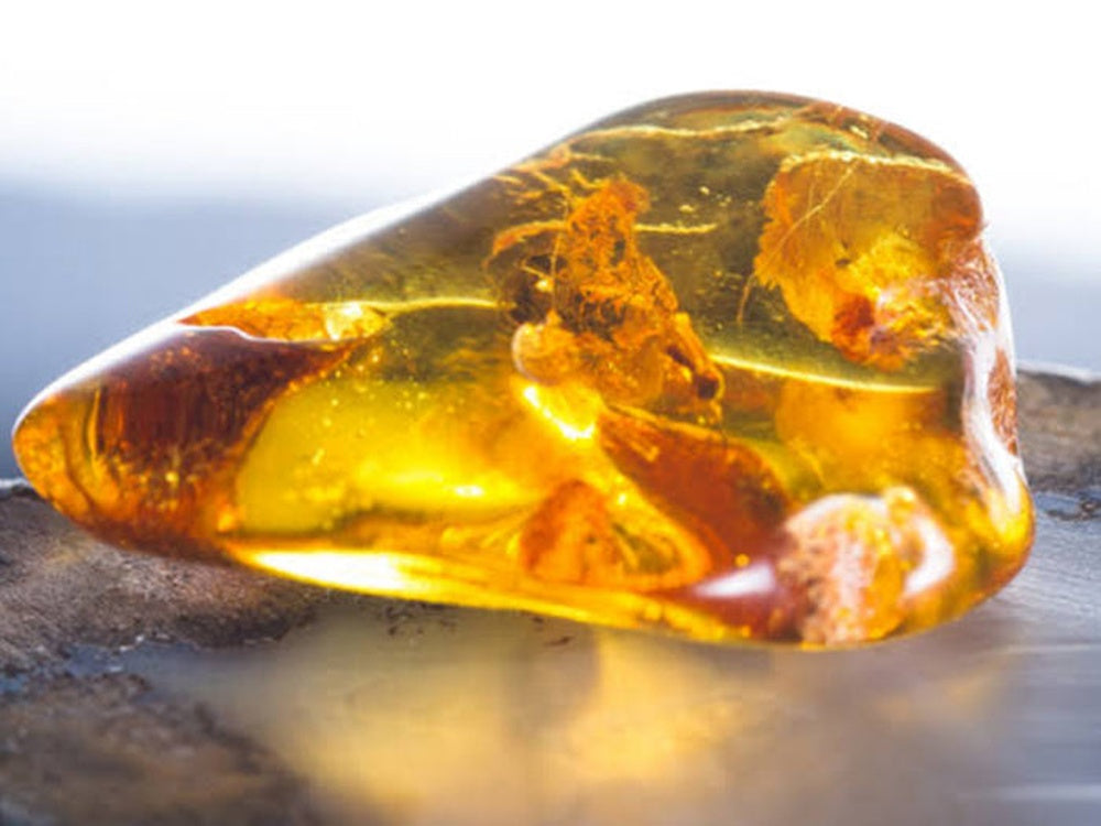 Amber Specimen