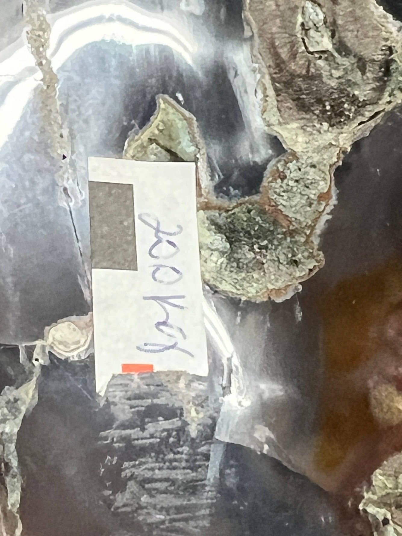 Amethyst geode with green botryoidal formation – view 5