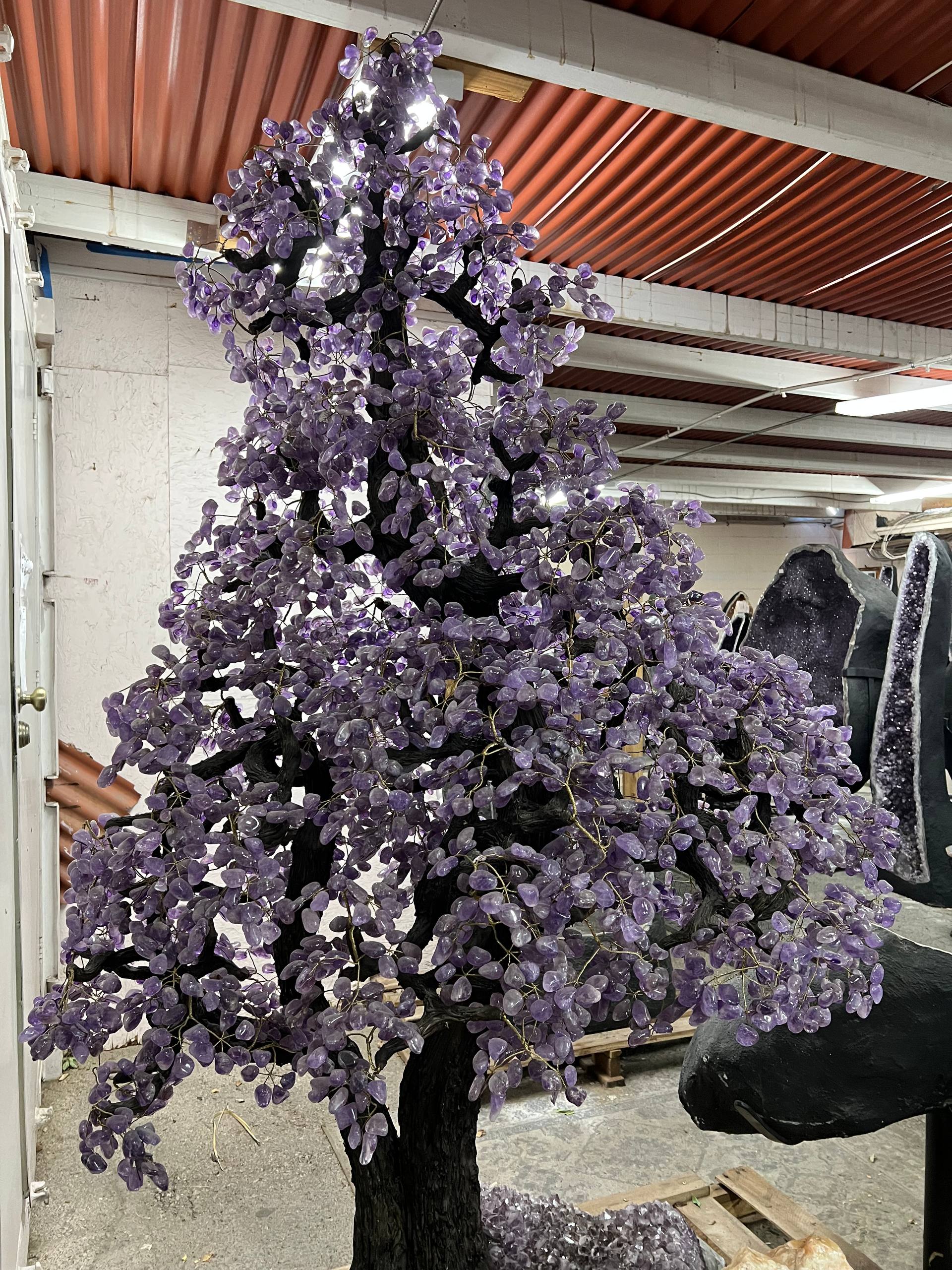 Largest amethyst tree stands on larger amethyst bases, Large money trees – view 6