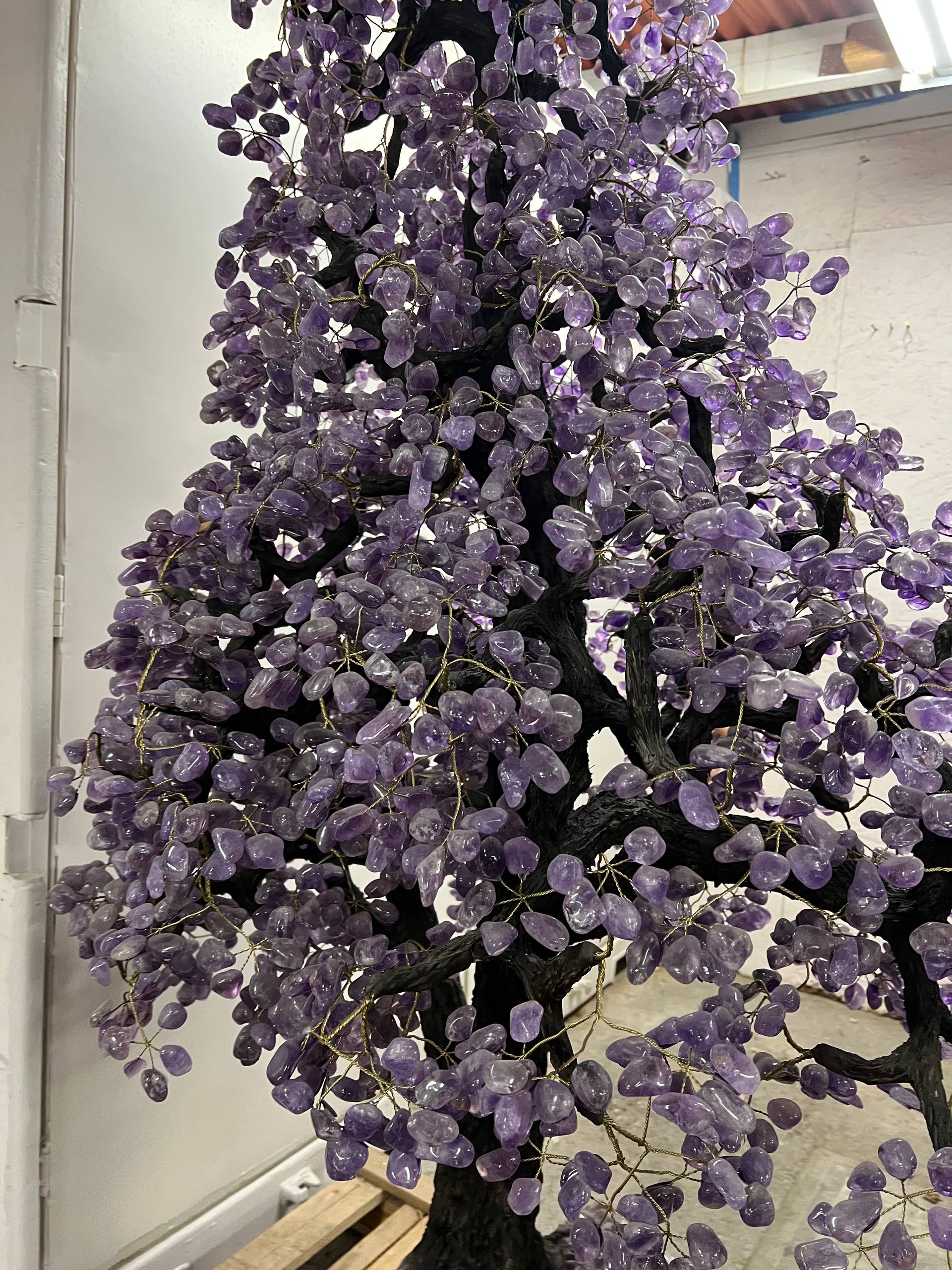 Largest amethyst tree stands on larger amethyst bases, Large money trees – view 7