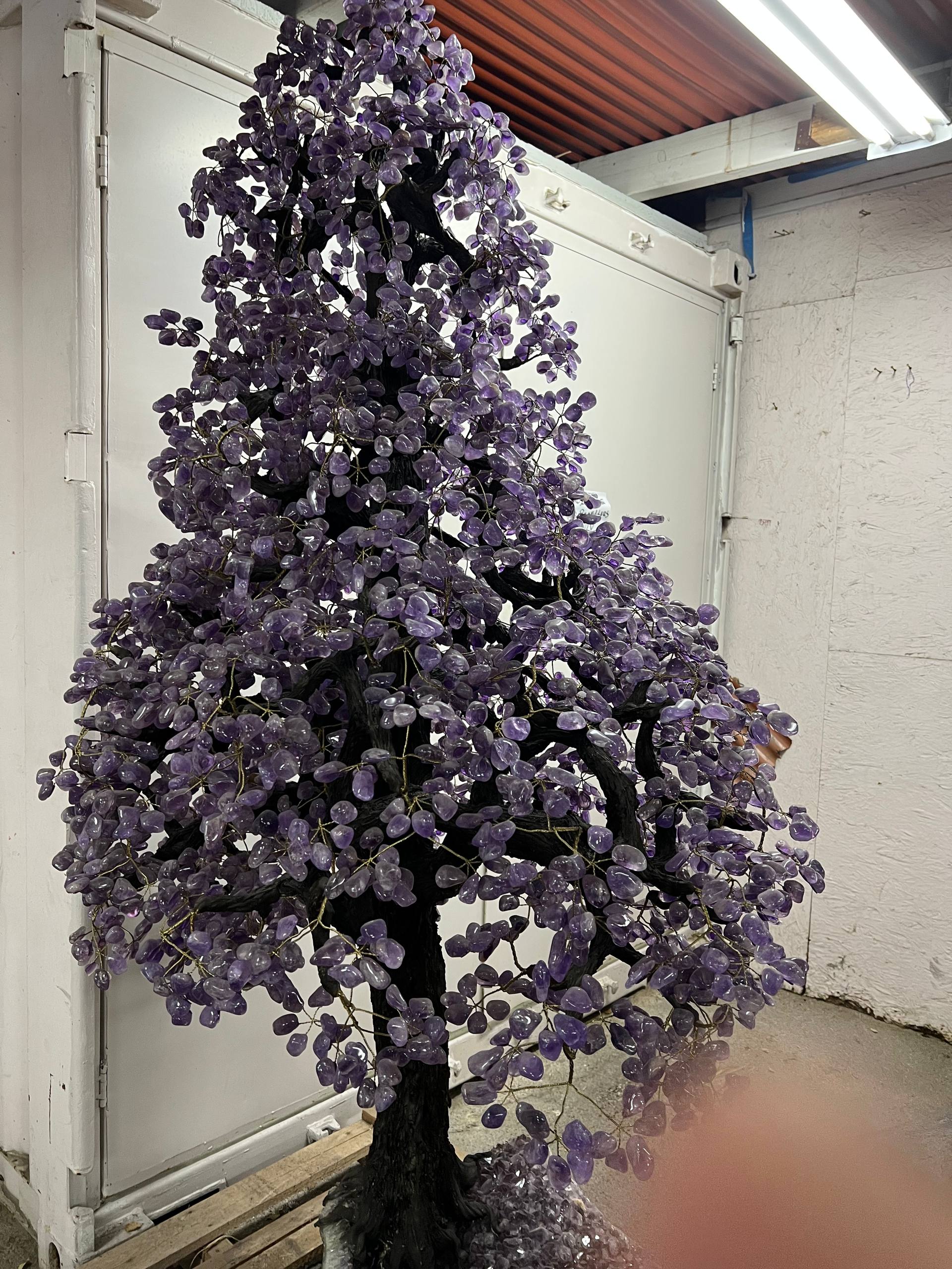 Largest amethyst tree stands on larger amethyst bases, Large money trees – view 4